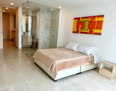 Apartamento Amoblado BELMONTE 322